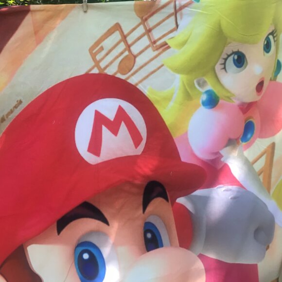 Nintendo Super Mario Princess Peach Luigi Full Size Duvet Cover L 90" x W 85" - Picture 7 of 11